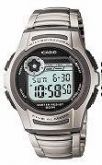 Casio W213D